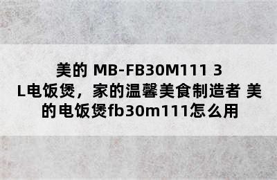 美的 MB-FB30M111 3L电饭煲，家的温馨美食制造者 美的电饭煲fb30m111怎么用